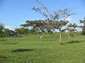 View of property