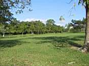 View of property