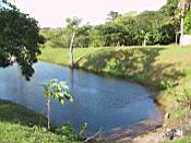 Property and lake access