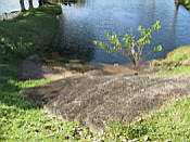 Stairs and lake access