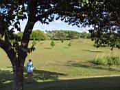 View of property