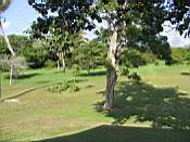 View of property