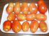 tomate - tomato
